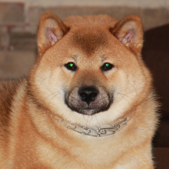 Meet your Posher, Su - Picture 1 of 1